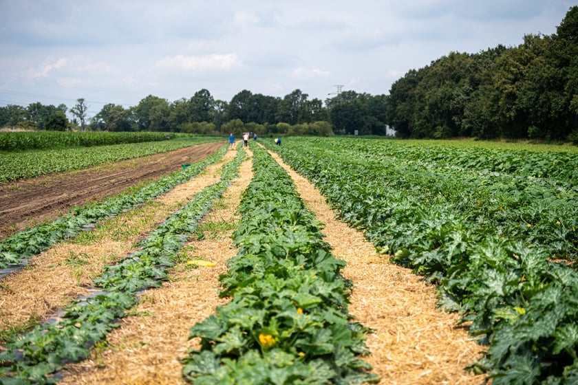 Miejska Farma Wrocławia